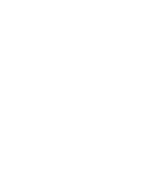 Development Goal Icon